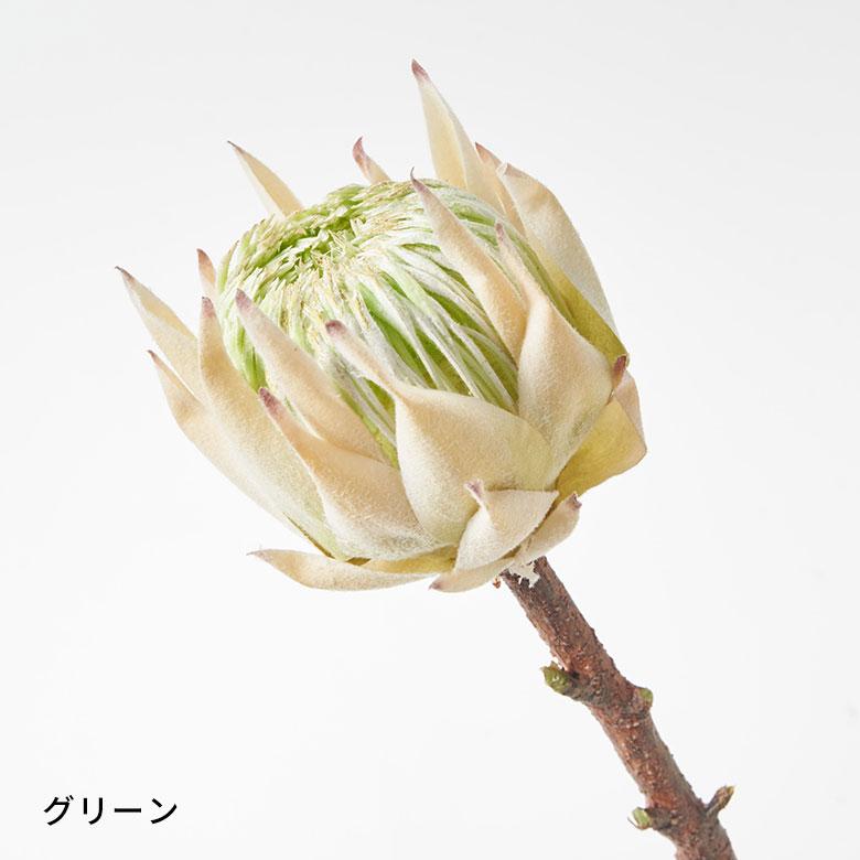 プロテア 造花 アーティフィシャル フラワー フェイク 高さ 50cm アート インテリア 花 アレンジメント リゾート 南国 おしゃれ 雑貨 西海岸風 94151 | ブランド登録なし | 19