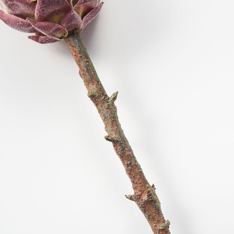 プロテア 造花 アーティフィシャル フラワー フェイク 高さ 50cm アート インテリア 花 アレンジメント リゾート 南国 おしゃれ 雑貨 西海岸風 94151 | ブランド登録なし | 20