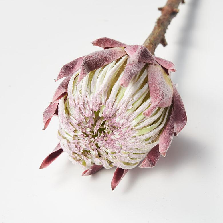 プロテア 造花 アーティフィシャル フラワー フェイク 高さ 50cm アート インテリア 花 アレンジメント リゾート 南国 おしゃれ 雑貨 西海岸風 94151 | ブランド登録なし | 22