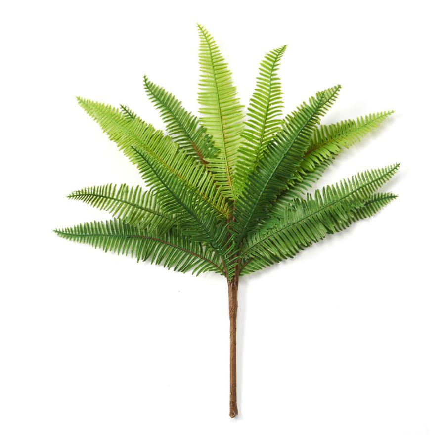 パーム ファーン ブッシュ リーフ 造花 アーティフィシャル グリーン フェイク 高さ 35cm アート プランツ インテリア 葉 おしゃれ 北欧 雑貨 西海岸風 94154 | ブランド登録なし | 13