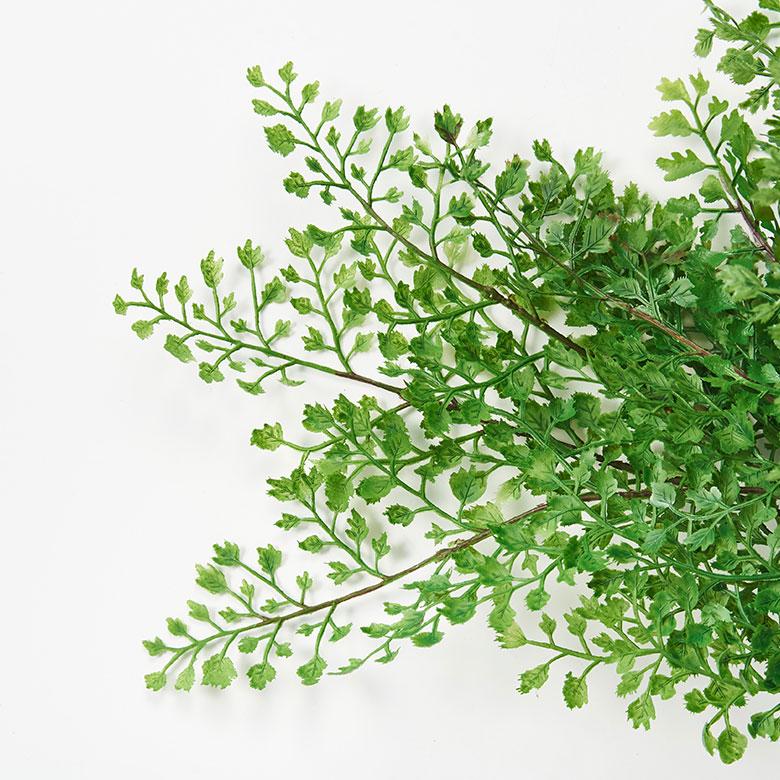 アジアンタム ブッシュ 造花 アーティフィシャル グリーン フェイク 高さ 35cm アート プランツ インテリア 葉 リゾート おしゃれ 北欧 雑貨 西海岸風 94155 | ブランド登録なし | 11