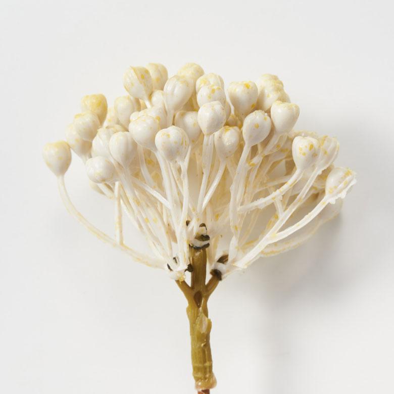 グレインベリー 造花 アーティフィシャル グリーン フェイク 高さ 20cm アート プランツ インテリア 木 果 実 リゾート おしゃれ 北欧 雑貨 西海岸風 94158 | ブランド登録なし | 18