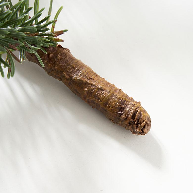 フェイク グリーン パイン 枝 ハンギング 造花 アーティフィシャル クリスマス スワッグ 壁 掛け デコレーション おしゃれ 北欧 雑貨 インテリア 西海岸 94163 | ブランド登録なし | 16