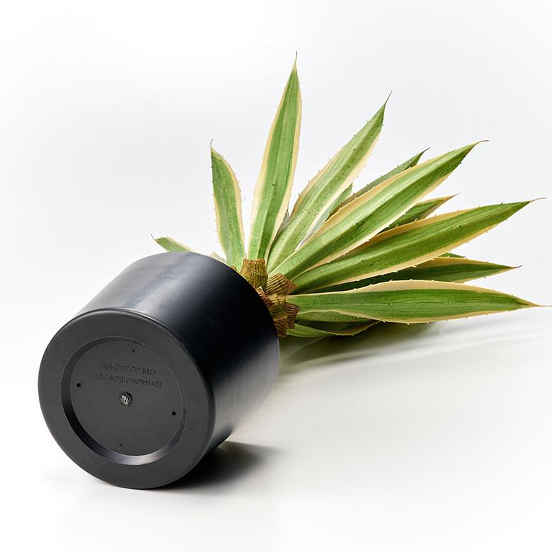 フェイク グリーン ユッカ グロリオサ 高さ 70cm 観葉 植物 プランツ 班入り 造花 アート ディスプレイ おしゃれ 店舗 カリフォルニア サーフ 西海岸 94176 | ブランド登録なし | 13