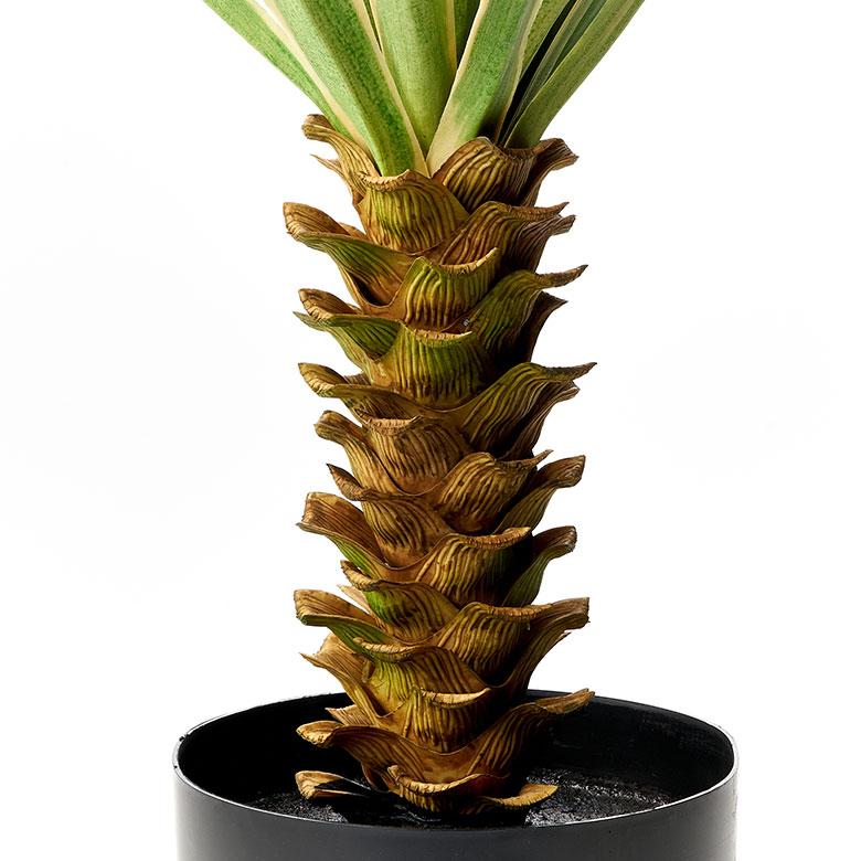 フェイク グリーン ユッカ グロリオサ 高さ 70cm 観葉 植物 プランツ 班入り 造花 アート ディスプレイ おしゃれ 店舗 カリフォルニア サーフ 西海岸 94176 | ブランド登録なし | 15