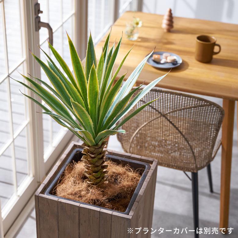 フェイク グリーン ユッカ グロリオサ 高さ 70cm 観葉 植物 プランツ 班入り 造花 アート ディスプレイ おしゃれ 店舗 カリフォルニア サーフ 西海岸 94176 | ブランド登録なし | 01