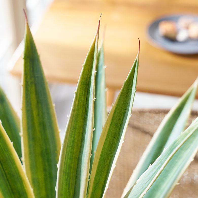 フェイク グリーン ユッカ グロリオサ 高さ 70cm 観葉 植物 プランツ 班入り 造花 アート ディスプレイ おしゃれ 店舗 カリフォルニア サーフ 西海岸 94176 | ブランド登録なし | 02