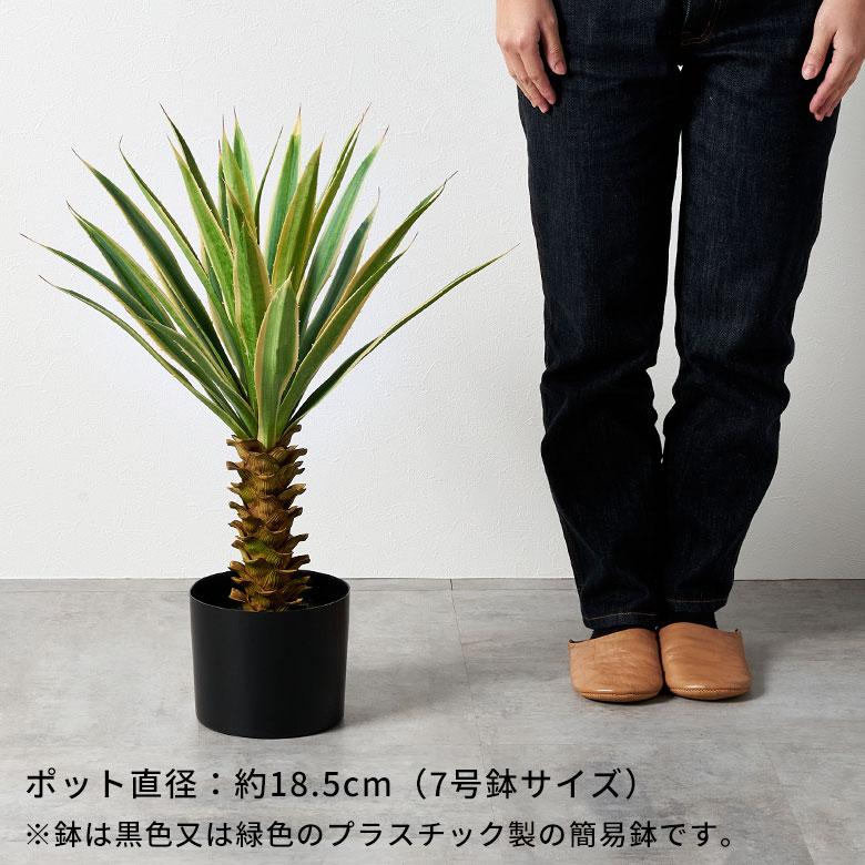 フェイク グリーン ユッカ グロリオサ 高さ 70cm 観葉 植物 プランツ 班入り 造花 アート ディスプレイ おしゃれ 店舗 カリフォルニア サーフ 西海岸 94176 | ブランド登録なし | 03