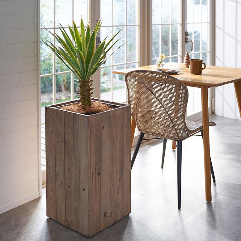 フェイク グリーン ユッカ グロリオサ 高さ 70cm 観葉 植物 プランツ 班入り 造花 アート ディスプレイ おしゃれ 店舗 カリフォルニア サーフ 西海岸 94176 | ブランド登録なし | 04