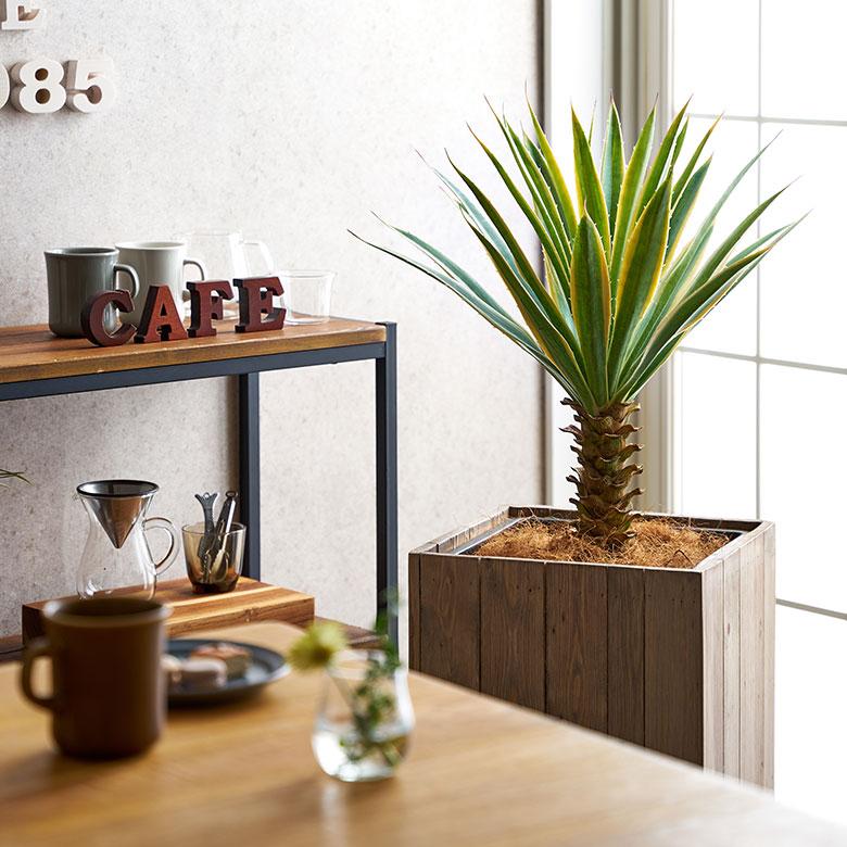 フェイク グリーン ユッカ グロリオサ 高さ 70cm 観葉 植物 プランツ 班入り 造花 アート ディスプレイ おしゃれ 店舗 カリフォルニア サーフ 西海岸 94176 | ブランド登録なし | 06