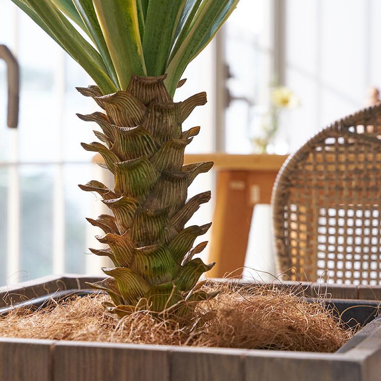 フェイク グリーン ユッカ グロリオサ 高さ 70cm 観葉 植物 プランツ 班入り 造花 アート ディスプレイ おしゃれ 店舗 カリフォルニア サーフ 西海岸 94176 | ブランド登録なし | 07
