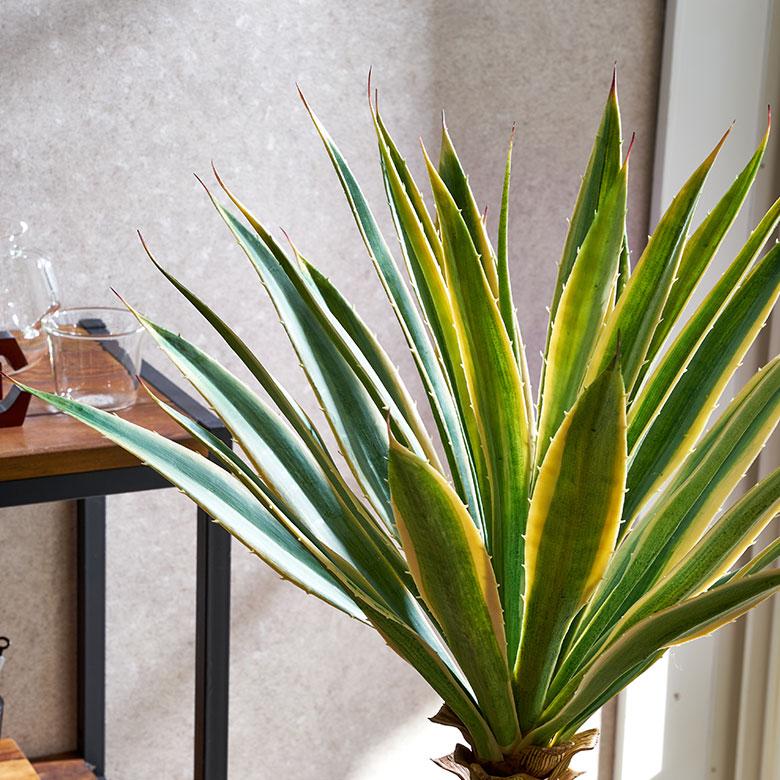 フェイク グリーン ユッカ グロリオサ 高さ 70cm 観葉 植物 プランツ 班入り 造花 アート ディスプレイ おしゃれ 店舗 カリフォルニア サーフ 西海岸 94176 | ブランド登録なし | 09