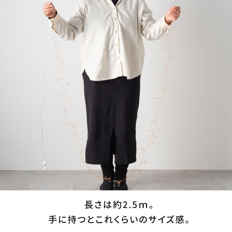 LED ライト クリスマス 電飾 ワイヤー 250cm 2.5m タイマー リモコン付き イルミネーション USB デコレーション インテリア おしゃれ 北欧 雑貨 西海岸 94746 | ブランド登録なし | 14