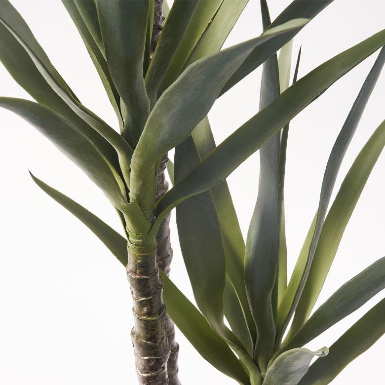 フェイク グリーン アガベ 高さ 155cm 人工 観葉 植物 花 多肉
