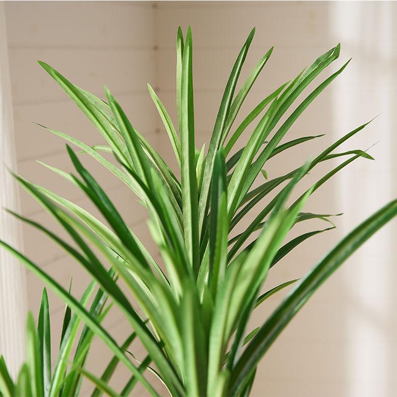 フェイク グリーン ユッカ リュウゼツラン 高さ 130cm 人工 観葉 植物 花 多肉 プランツ アート ディスプレイ おしゃれ 北欧 店舗 インテリア 西海岸 94756 | ブランド登録なし | 06