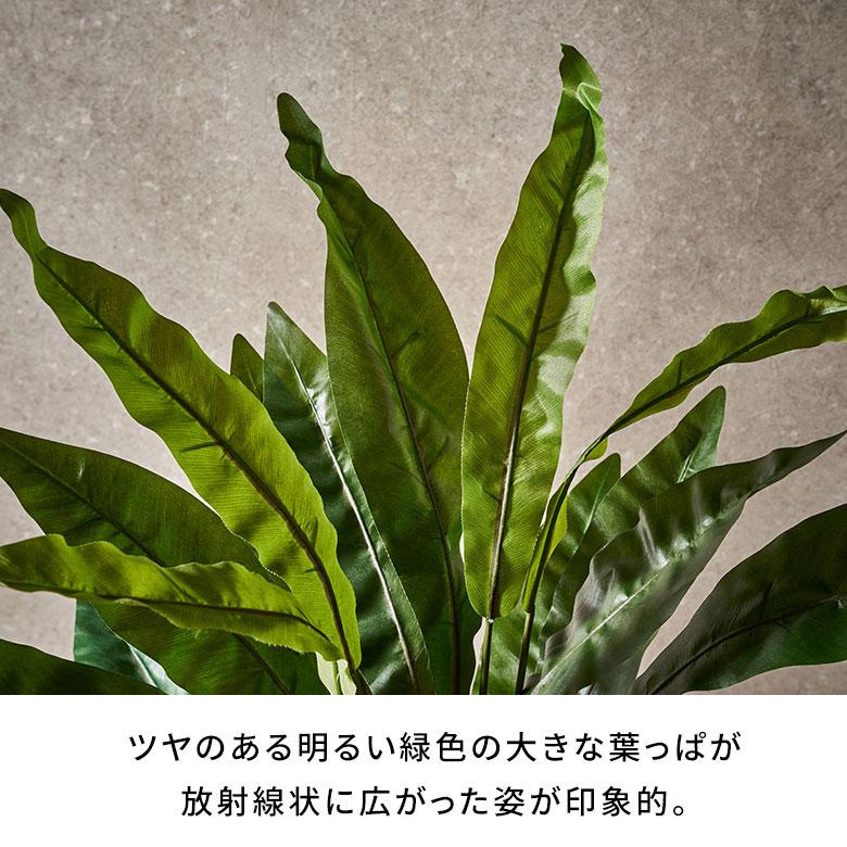 フェイク グリーン アスプレニウム オオタニワタリ 高さ 90cm 人工 観葉 植物 シダ プランツ アート ディスプレイ おしゃれ 北欧 インテリア 西海岸 94757 | ブランド登録なし | 02