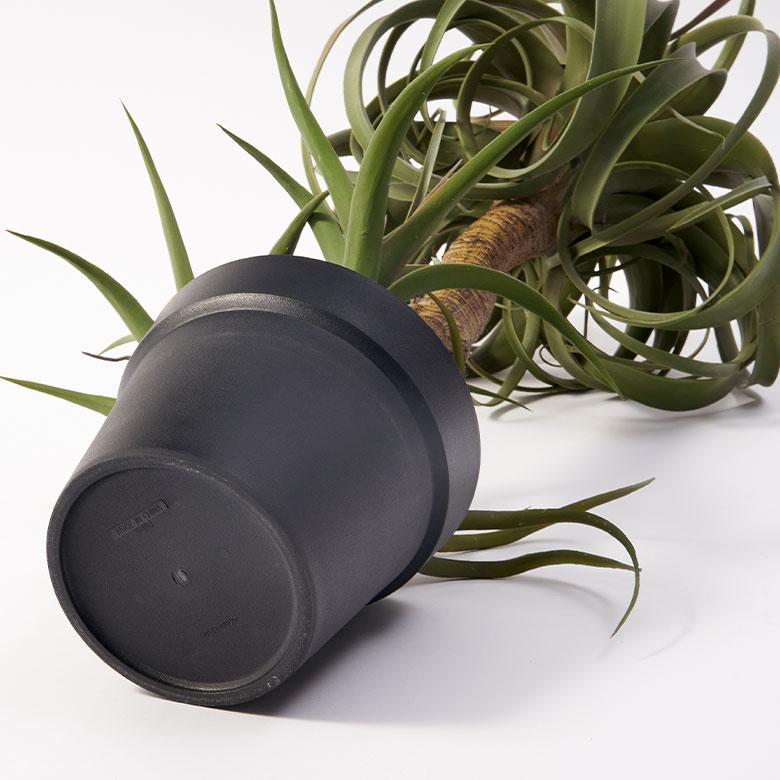 フェイク グリーン チランジア キセログラフィカ 高さ 83cm 人工 観葉 植物 多肉 プランツ 造花 アート ディスプレイ おしゃれ 北欧 インテリア 西海岸 94759 | ブランド登録なし | 10