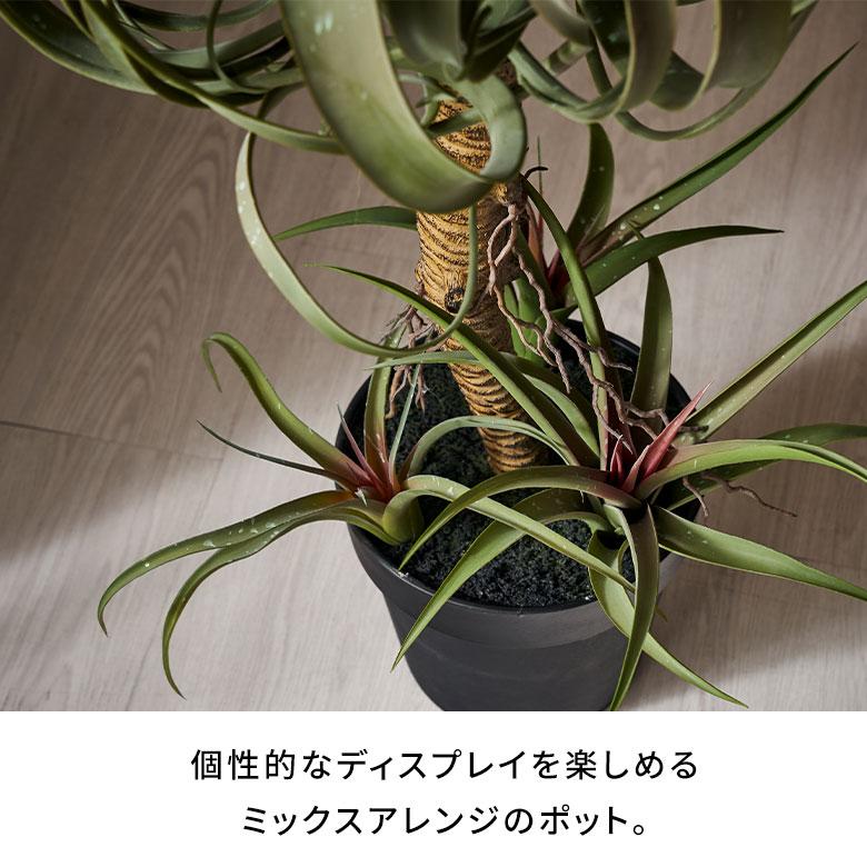 フェイク グリーン チランジア キセログラフィカ 高さ 83cm 人工 観葉 植物 多肉 プランツ 造花 アート ディスプレイ おしゃれ 北欧 インテリア 西海岸 94759 | ブランド登録なし | 03