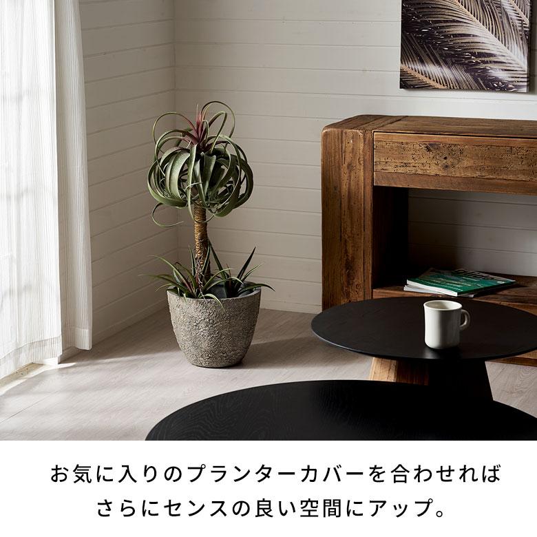 フェイク グリーン チランジア キセログラフィカ 高さ 83cm 人工 観葉 植物 多肉 プランツ 造花 アート ディスプレイ おしゃれ 北欧 インテリア 西海岸 94759 | ブランド登録なし | 04