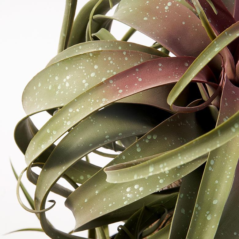 フェイク グリーン チランジア キセログラフィカ 高さ 83cm 人工 観葉 植物 多肉 プランツ 造花 アート ディスプレイ おしゃれ 北欧 インテリア 西海岸 94759 | ブランド登録なし | 08