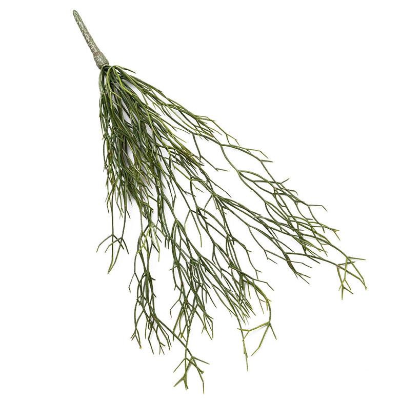 フェイク グリーン リプサリス 観葉 植物 アーティフィシャル 造花 アート ハンギング ブッシュ リゾート おしゃれ 北欧 インテリア 雑貨 西海岸 94760 | ブランド登録なし | 10