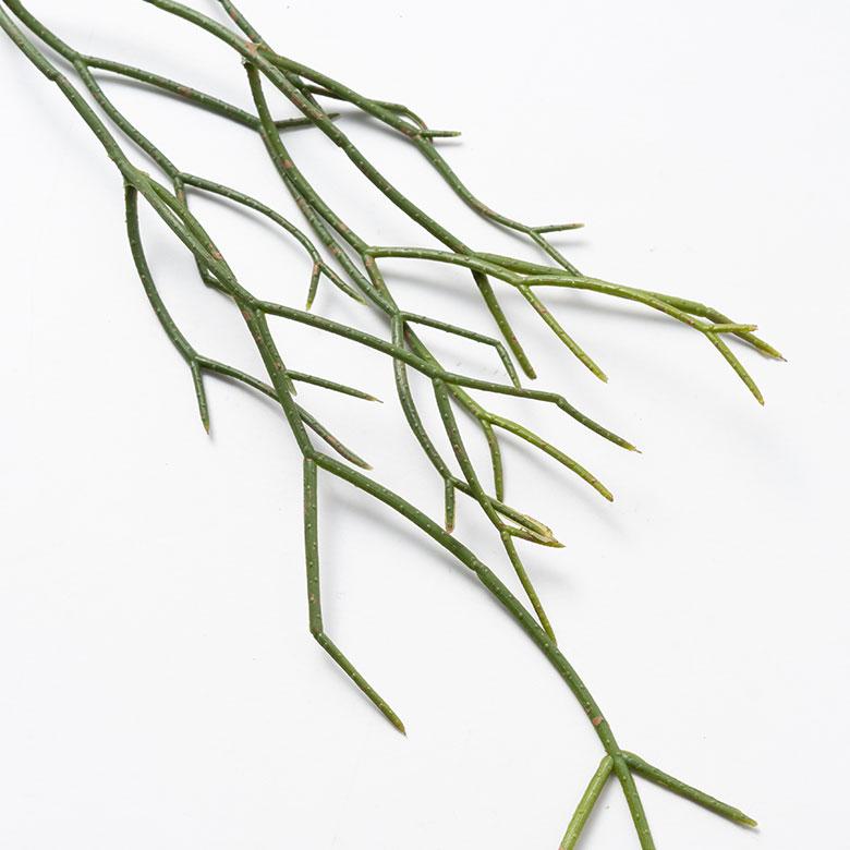 フェイク グリーン リプサリス 観葉 植物 アーティフィシャル 造花 アート ハンギング ブッシュ リゾート おしゃれ 北欧 インテリア 雑貨 西海岸 94760 | ブランド登録なし | 11