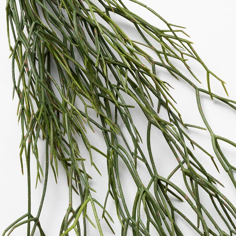 フェイク グリーン リプサリス 観葉 植物 アーティフィシャル 造花 アート ハンギング ブッシュ リゾート おしゃれ 北欧 インテリア 雑貨 西海岸 94760 | ブランド登録なし | 12