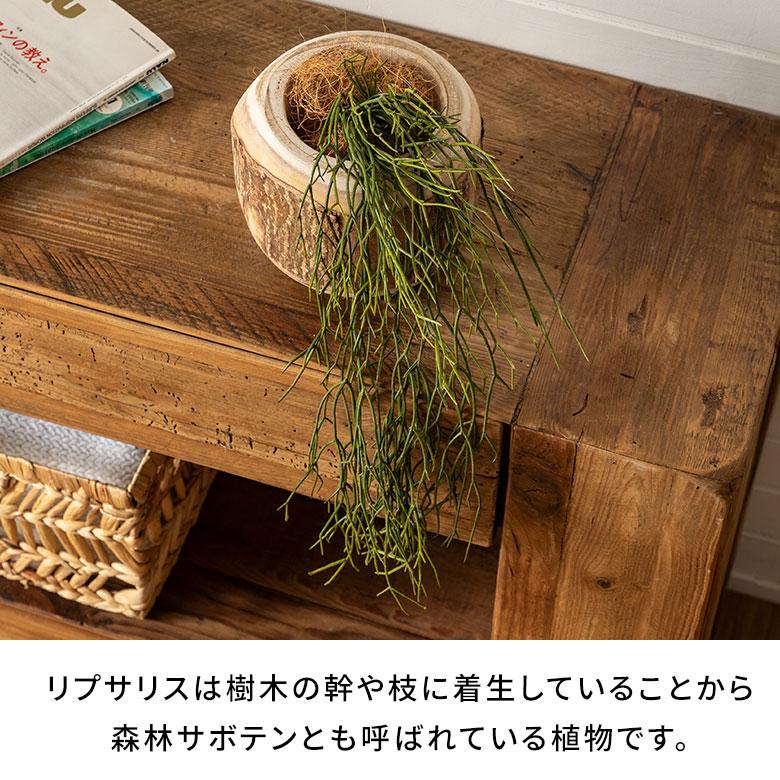 フェイク グリーン リプサリス 観葉 植物 アーティフィシャル 造花 アート ハンギング ブッシュ リゾート おしゃれ 北欧 インテリア 雑貨 西海岸 94760 | ブランド登録なし | 03