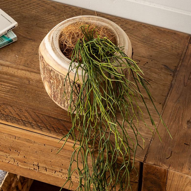 フェイク グリーン リプサリス 観葉 植物 アーティフィシャル 造花 アート ハンギング ブッシュ リゾート おしゃれ 北欧 インテリア 雑貨 西海岸 94760 | ブランド登録なし | 08