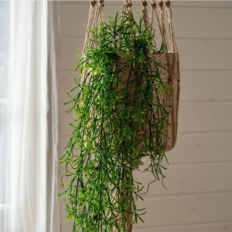 フェイク グリーン ホヤ レツーサ 観葉 植物 アーティフィシャル 造花 アート ハンギング ブッシュ リゾート おしゃれ 北欧 インテリア 雑貨 西海岸 94761 | ブランド登録なし | 07