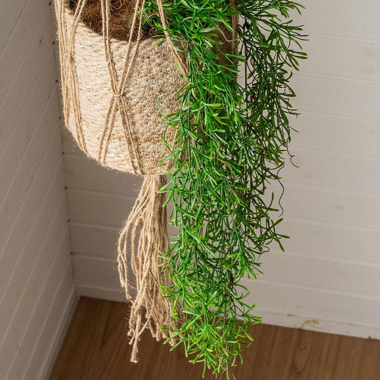 フェイク グリーン ホヤ レツーサ 観葉 植物 アーティフィシャル 造花 アート ハンギング ブッシュ リゾート おしゃれ 北欧 インテリア 雑貨 西海岸 94761 | ブランド登録なし | 08