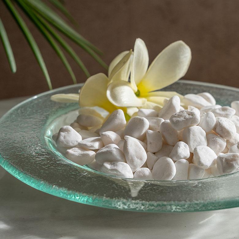 マルチング ストーン 天然石 600g 化粧 石 飾り カバー 鉢土 隠し カラー 植物 グリーン フラワー 花 リゾート おしゃれ 北欧 インテリア 雑貨 西海岸 94769 |  | 11