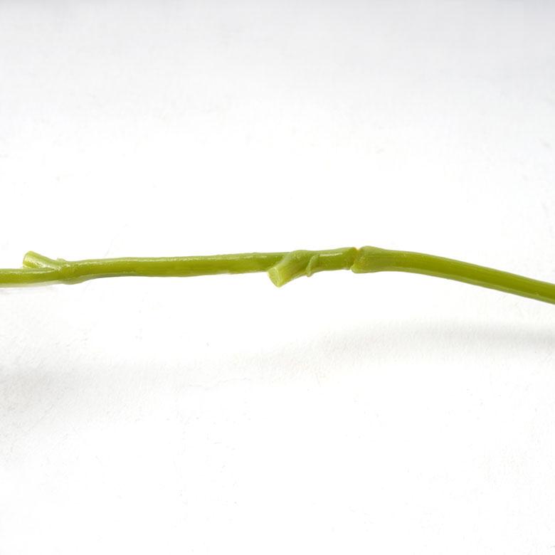 胡蝶蘭 造花 フェイクフラワー アーティフィシャルフラワー ファレノプシス 観葉植物 アートフラワー おしゃれ 北欧 リゾート 雑貨 インテリア 西海岸 94848 | ブランド登録なし | 13