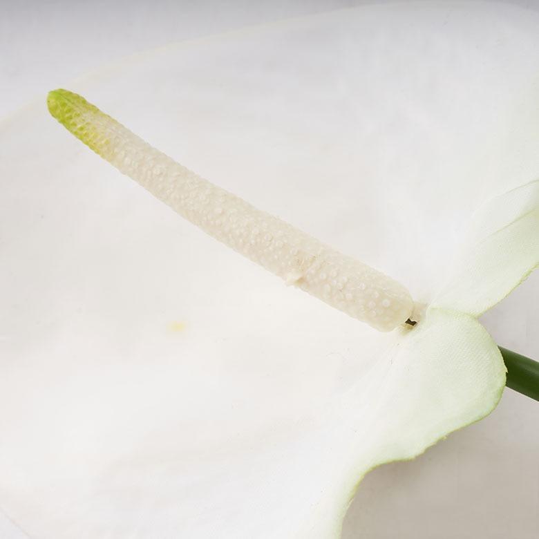 造花 インテリア アンスリウム 白 フェイクフラワー アーティフィシャルフラワー アンスリューム アートフラワー おしゃれ 北欧 リゾート 雑貨 西海岸 94851 | ブランド登録なし | 13