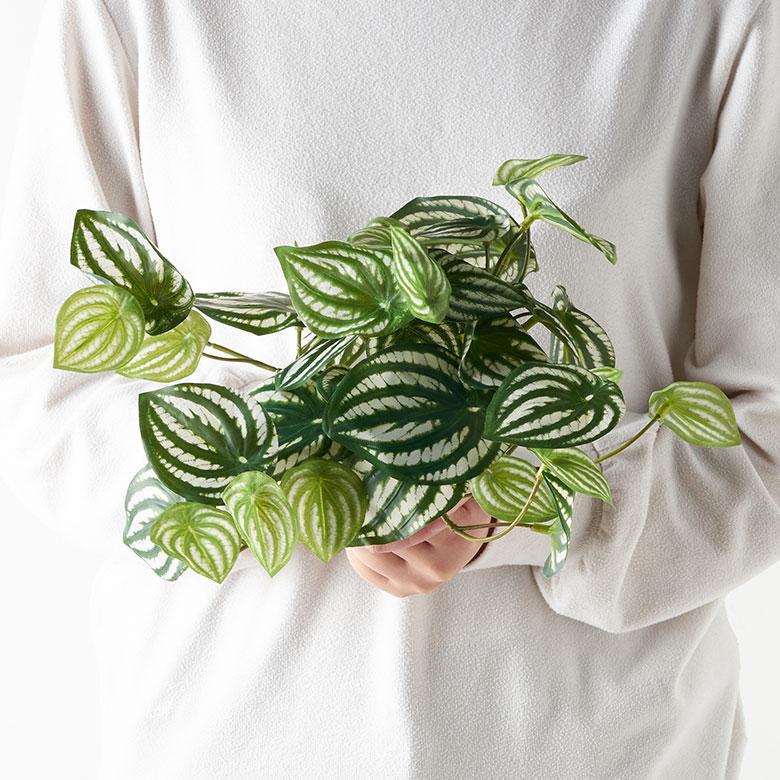 フェイクグリーン ハンギング 人工 観葉植物 インテリアグリーン フェイク ペペロミア スイカペペ おしゃれ 北欧 リゾート 雑貨 インテリア 西海岸 94854 | ブランド登録なし | 08