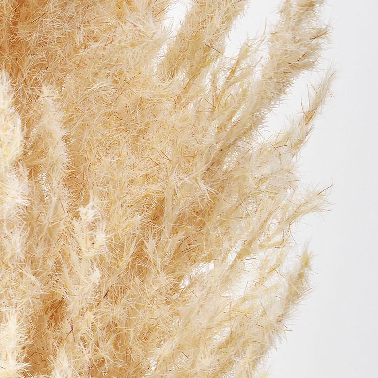 パンパスグラス 造花 フェイクフラワー アーティフィシャルフラワー パンパス 観葉植物 アートフラワー おしゃれ 北欧 リゾート 雑貨 インテリア 西海岸 94858 | ブランド登録なし | 14