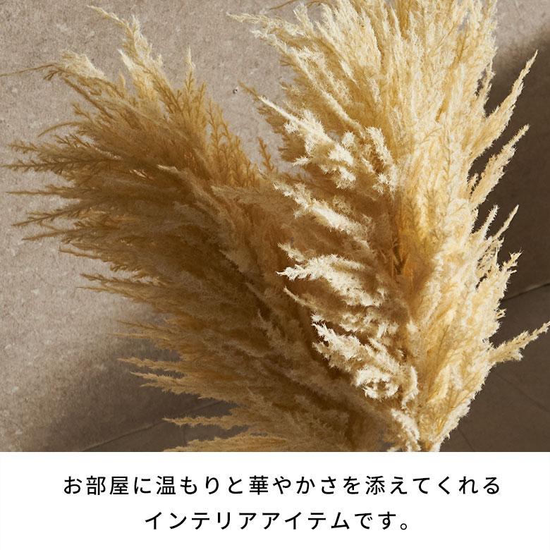 パンパスグラス 造花 フェイクフラワー アーティフィシャルフラワー パンパス 観葉植物 アートフラワー おしゃれ 北欧 リゾート 雑貨 インテリア 西海岸 94858 | ブランド登録なし | 02