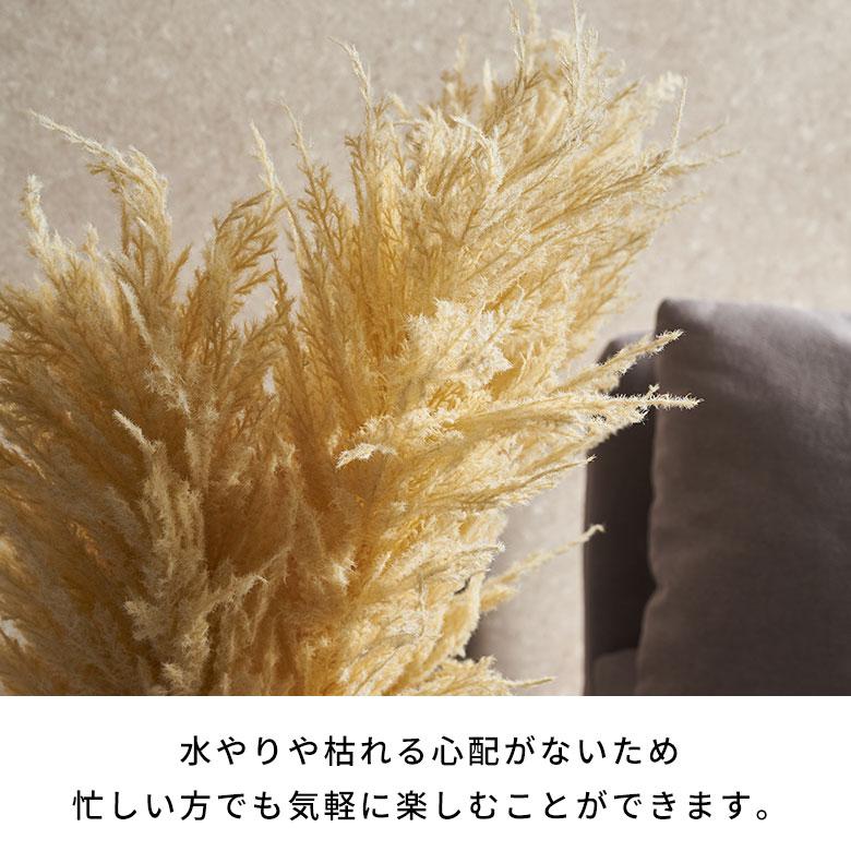 パンパスグラス 造花 フェイクフラワー アーティフィシャルフラワー パンパス 観葉植物 アートフラワー おしゃれ 北欧 リゾート 雑貨 インテリア 西海岸 94858 | ブランド登録なし | 03