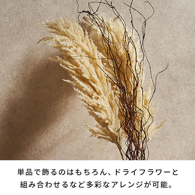 パンパスグラス 造花 フェイクフラワー アーティフィシャルフラワー パンパス 観葉植物 アートフラワー おしゃれ 北欧 リゾート 雑貨 インテリア 西海岸 94858 | ブランド登録なし | 05