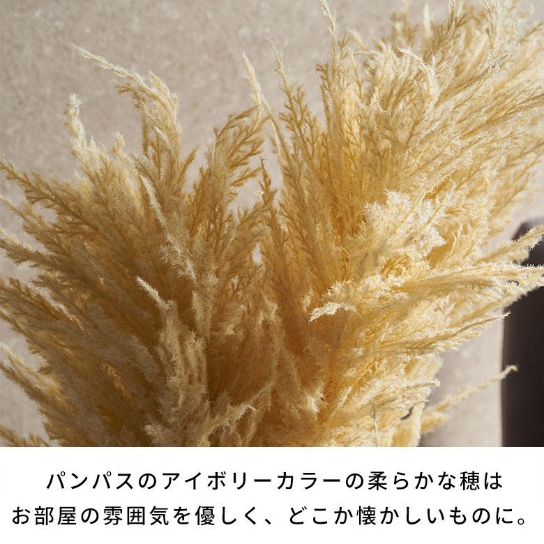 パンパスグラス 造花 フェイクフラワー アーティフィシャルフラワー パンパス 観葉植物 アートフラワー おしゃれ 北欧 リゾート 雑貨 インテリア 西海岸 94858 | ブランド登録なし | 07