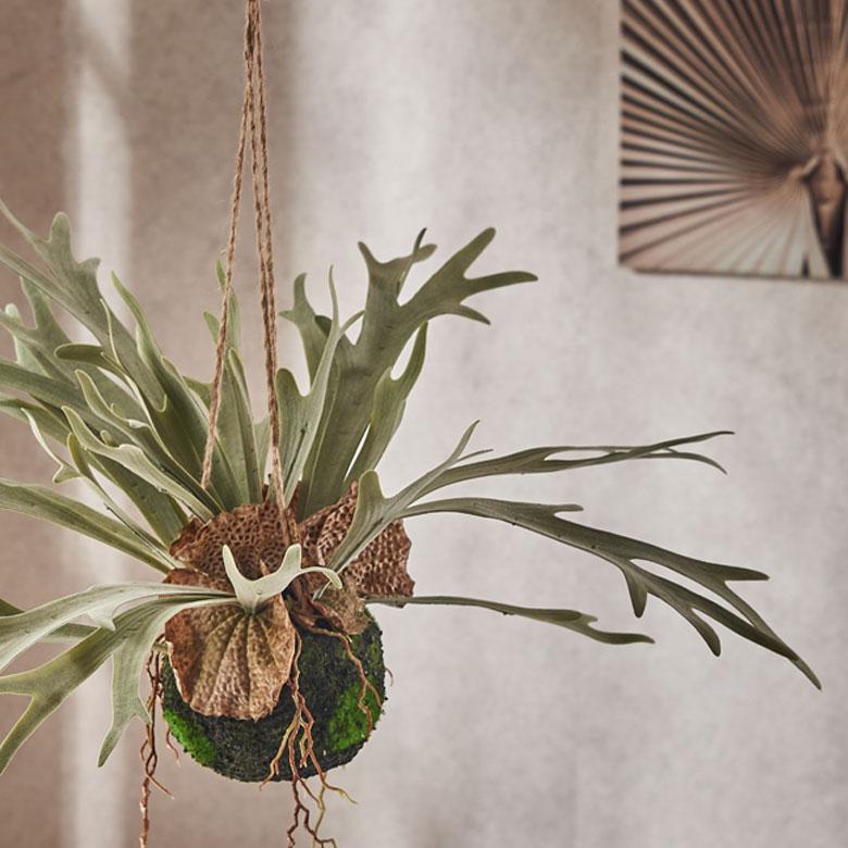 フェイクグリーン ハンギング つる 人工 観葉植物 卓上 吊り下げ フェイク コウモリラン ビカクシダ おしゃれ 北欧 リゾート 雑貨 インテリア 西海岸 94859 | ブランド登録なし | 10