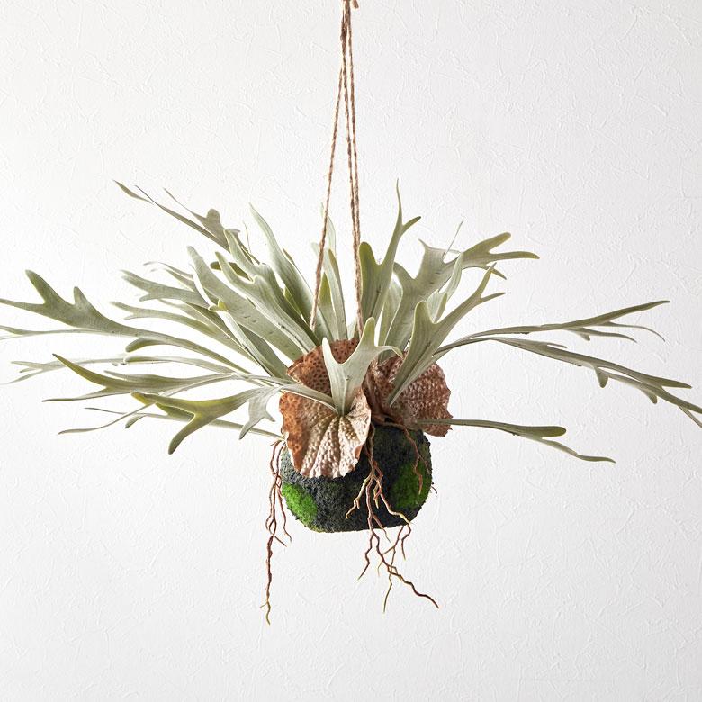 フェイクグリーン ハンギング つる 人工 観葉植物 卓上 吊り下げ フェイク コウモリラン ビカクシダ おしゃれ 北欧 リゾート 雑貨 インテリア 西海岸 94859 | ブランド登録なし | 12