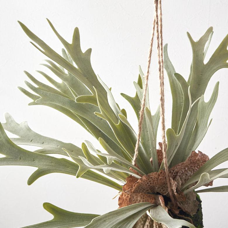 フェイクグリーン ハンギング つる 人工 観葉植物 卓上 吊り下げ フェイク コウモリラン ビカクシダ おしゃれ 北欧 リゾート 雑貨 インテリア 西海岸 94859 | ブランド登録なし | 14