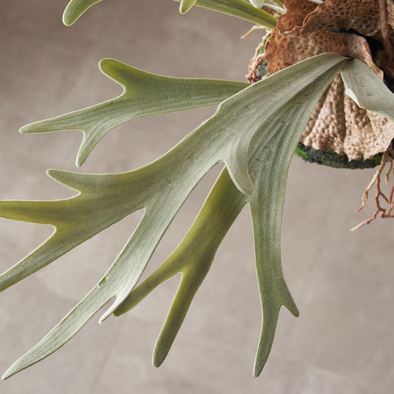 フェイクグリーン ハンギング つる 人工 観葉植物 卓上 吊り下げ フェイク コウモリラン ビカクシダ おしゃれ 北欧 リゾート 雑貨 インテリア 西海岸 94859 | ブランド登録なし | 15