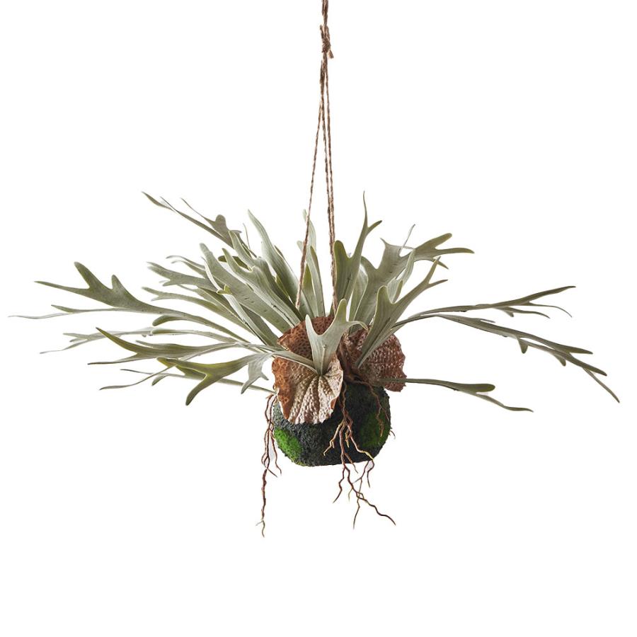 フェイクグリーン ハンギング つる 人工 観葉植物 卓上 吊り下げ フェイク コウモリラン ビカクシダ おしゃれ 北欧 リゾート 雑貨 インテリア 西海岸 94859 | ブランド登録なし | 17