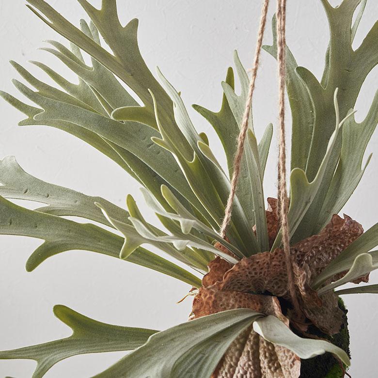 フェイクグリーン ハンギング つる 人工 観葉植物 卓上 吊り下げ フェイク コウモリラン ビカクシダ おしゃれ 北欧 リゾート 雑貨 インテリア 西海岸 94859 | ブランド登録なし | 07