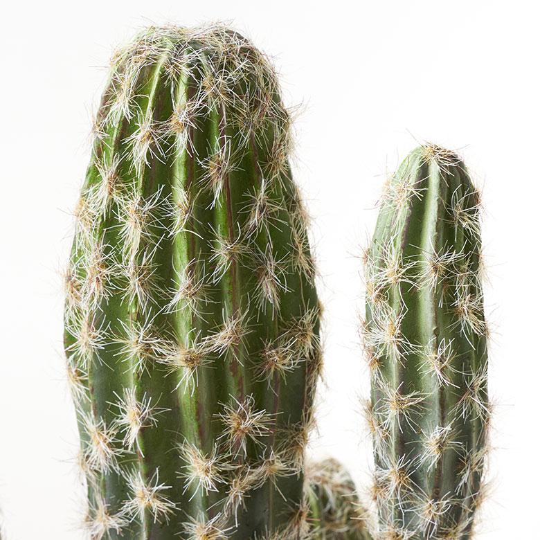フェイクグリーン サボテン 人工 観葉植物  インテリアグリーン フェイク 柱サボテン 大きい カクタス おしゃれ 北欧 リゾート 雑貨 インテリア 西海岸 94860 | ブランド登録なし | 12