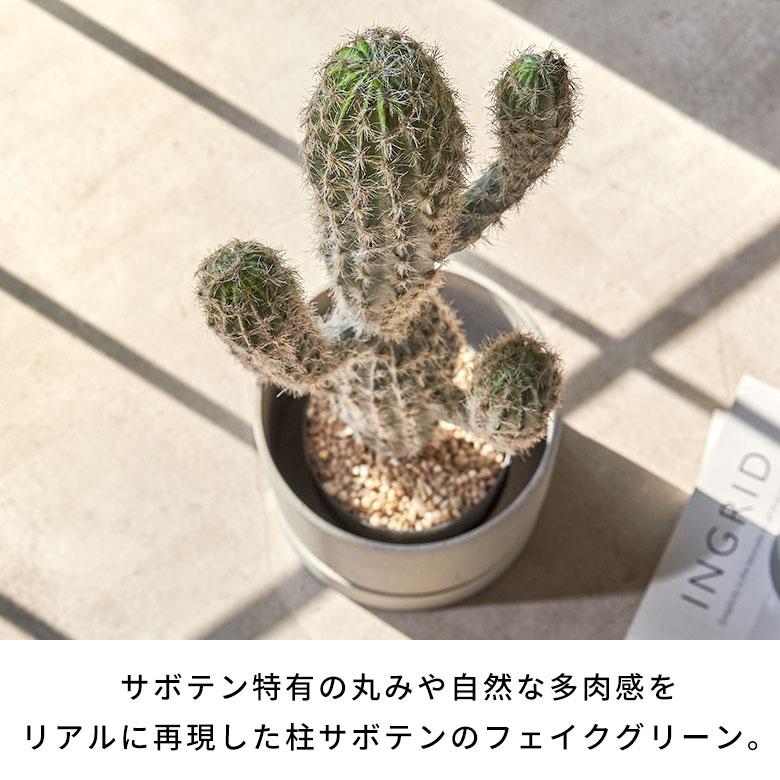 フェイクグリーン サボテン 人工 観葉植物  インテリアグリーン フェイク 柱サボテン 大きい カクタス おしゃれ 北欧 リゾート 雑貨 インテリア 西海岸 94860 | ブランド登録なし | 01