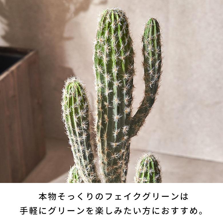 フェイクグリーン サボテン 人工 観葉植物  インテリアグリーン フェイク 柱サボテン 大きい カクタス おしゃれ 北欧 リゾート 雑貨 インテリア 西海岸 94860 | ブランド登録なし | 02
