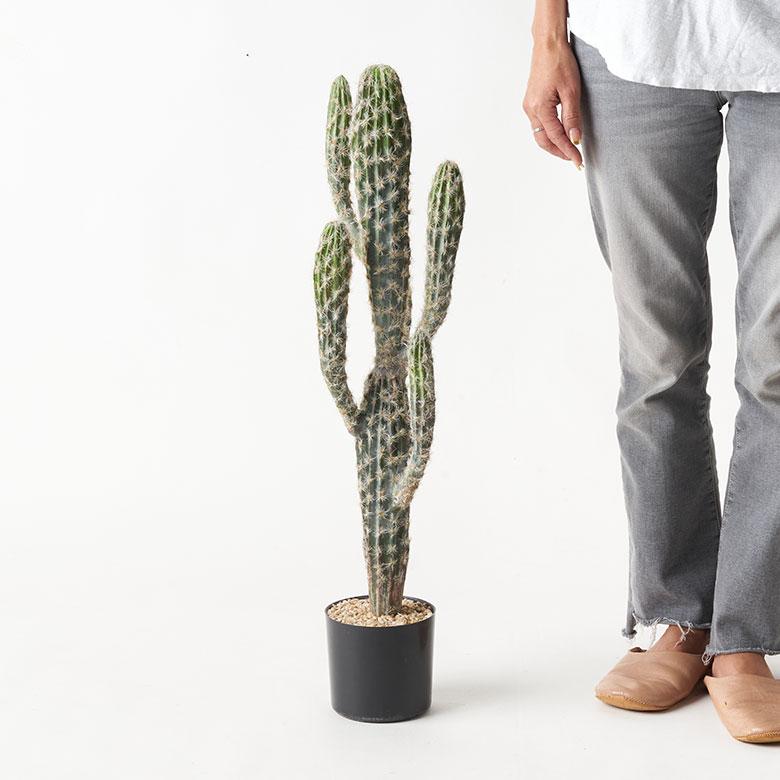 フェイクグリーン サボテン 人工 観葉植物  インテリアグリーン フェイク 柱サボテン 大きい カクタス おしゃれ 北欧 リゾート 雑貨 インテリア 西海岸 94860 | ブランド登録なし | 07